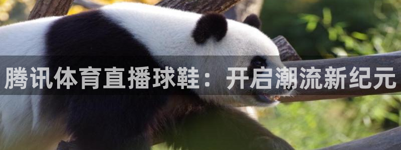 五星体育王政