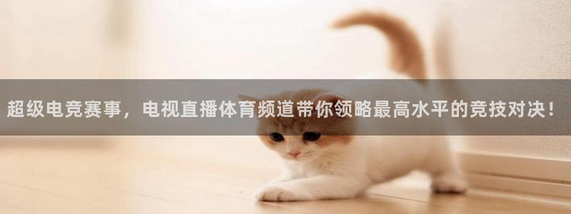 五星体育直播中超