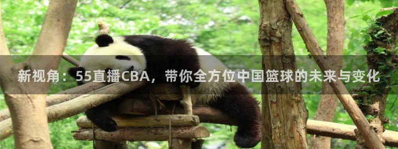 今天上海五星体育电视直播