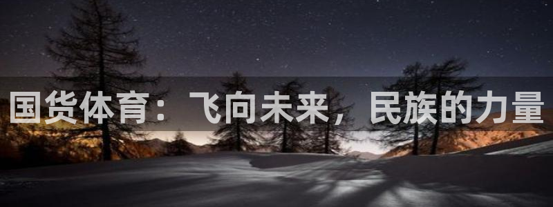 五星体育高清在线直播