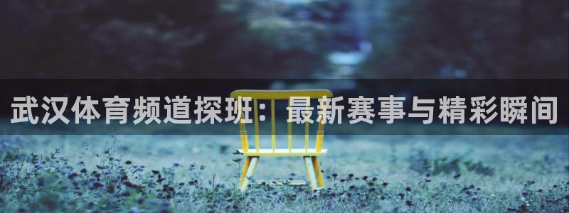 五星体育女主持人：武汉体育频道探班：最新赛事与精彩瞬间