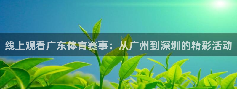 五星体育李兵：线上观看广东体育赛事：从广州到深圳的精彩活动