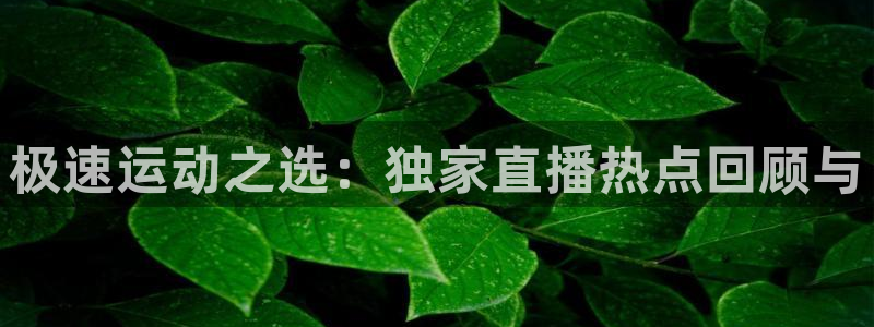 下载五星体育 直播观看：极速运动之选：独家直播热点回顾与